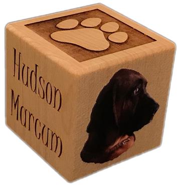 crafty family baby blocks