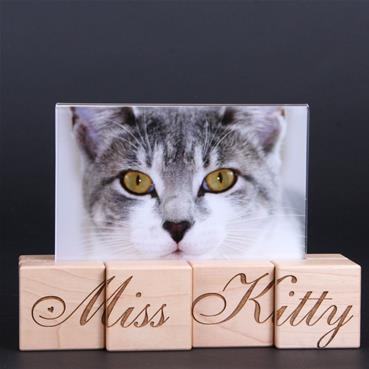 Photo Blocks for Cats