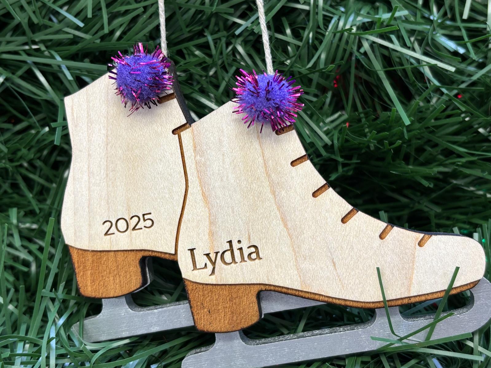Ice Skate Close Up